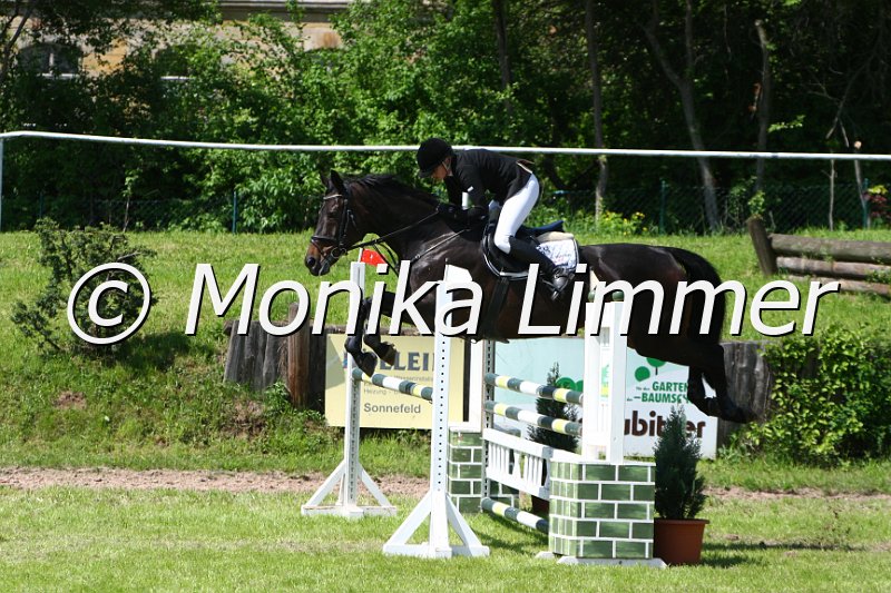 005M5390_Rabinos Charme_L Springen.JPG